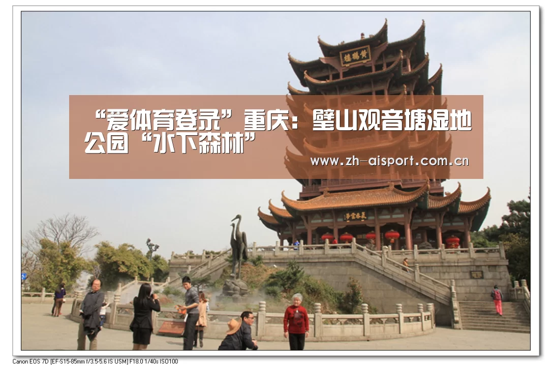 “爱体育登录”重庆：璧山观音塘湿地公园“水下森林”