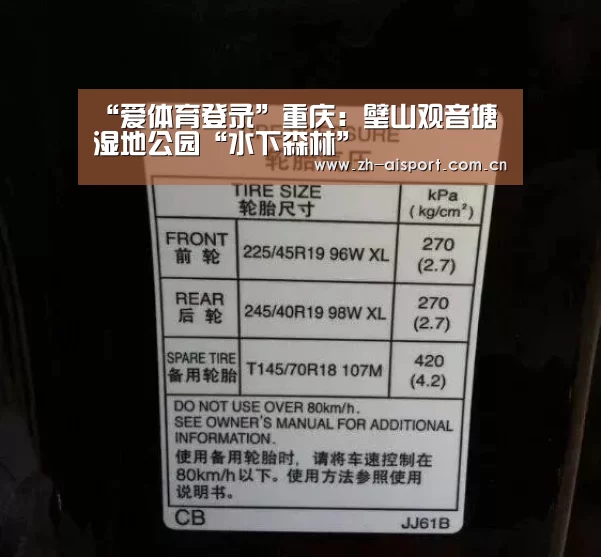 “爱体育登录”重庆:璧山观音塘湿地公园“水下森林”(图3) 爱体育登录入口